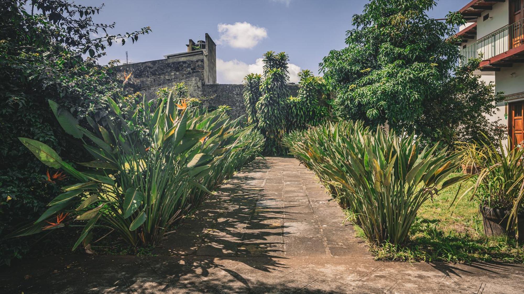 Hotel Montecillo Coatepec  Exteriér fotografie
